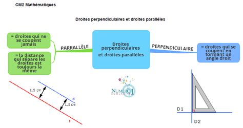 Droites Perpendiculaires Et Droites Parallèles Leçon Et Exercices Cm2