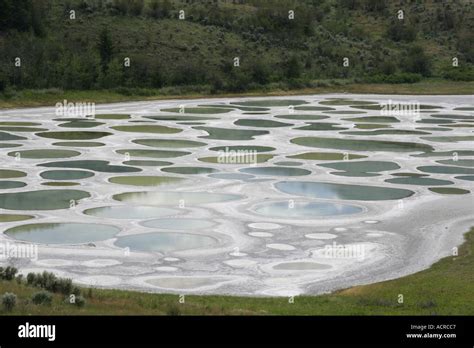 Spotted Lake Osoyoos British Columbia Hi Res Stock Photography And