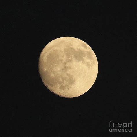 Glowing Moon Photograph By Carol Groenen Fine Art America