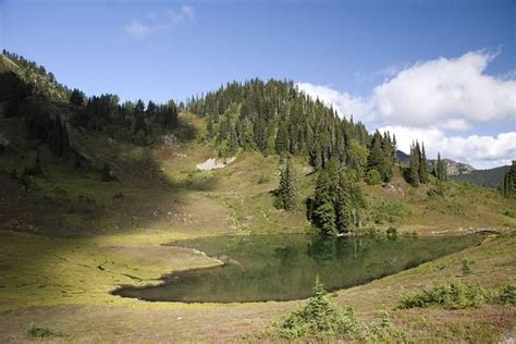 Heart Lake In Olympic National Park Washington Usa Olympic National