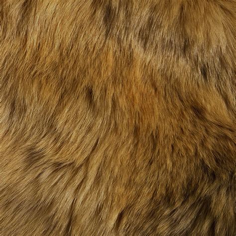 Vt37 Texture Fur Dog Orange Pattern Gold Wallpaper