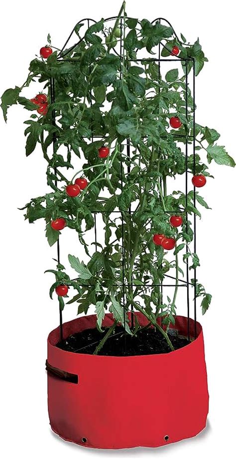 Uk Self Watering Tomato Planters