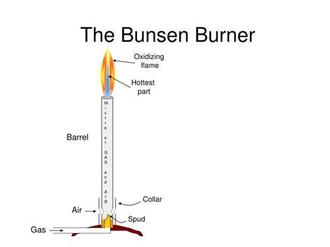 Learn vocabulary, terms and more with flashcards, games and other study tools. PPT - The Bunsen Burner PowerPoint Presentation, free ...