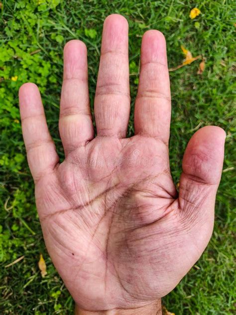 A Male Human Hand Palm Isolated In Green Grass Background Close Up Of
