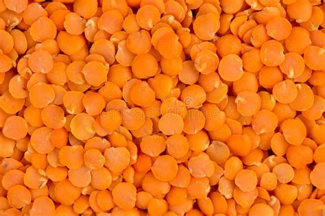 Macro Texture Background Red Lentil Split Peas Stock Photos Free