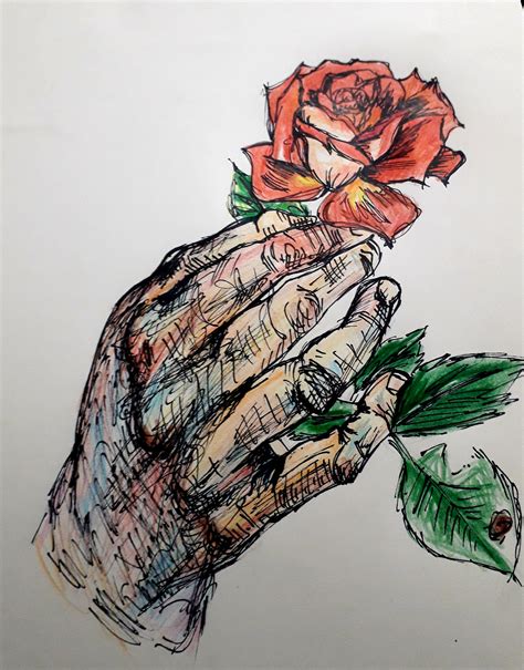 Hand Holding Flower Drawing Rdrawing