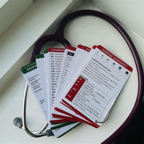 Nursing Flashcards Bundle Nursing Basics Pdf Only Etsy Uk