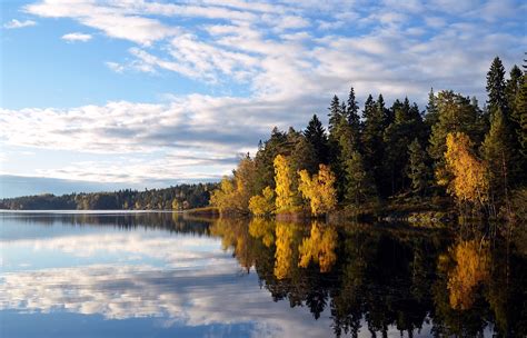 862669 Flaten Lake Forests Autumn Lake Sweden Trees Rare
