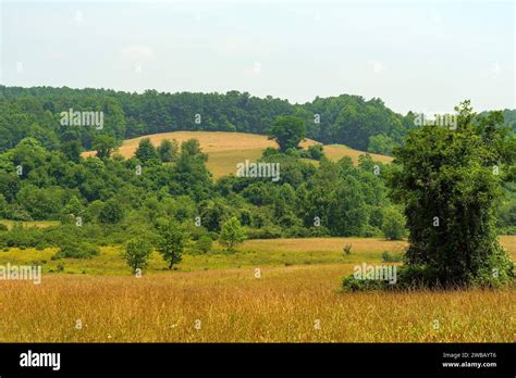 Forests and Meadows in the Rolling Hills of the Blue Ridge Parkway in