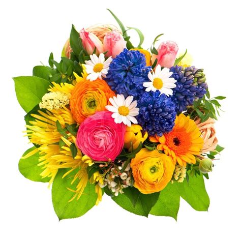 Beautiful bouquet of flowers images. Beautiful bouquet of colorful spring flowers | Stock Photo ...
