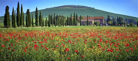 This Is Tuscany By Citizenfresh On Deviantart