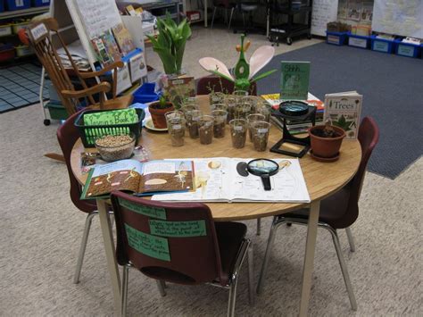 Plants Interestscience Table Science Table Kindergarten Inquiry