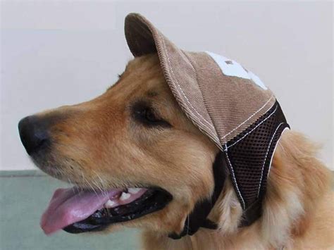 Como Hacer Gorra Para Perro De Manera Sencilla Así Podrás Proteger La