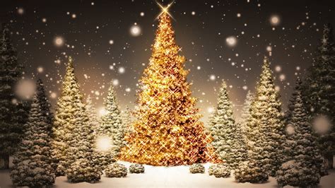 Christmas Love Light Tree Lighting Freeport News Network