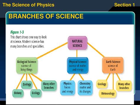 Branches Of Science Chart