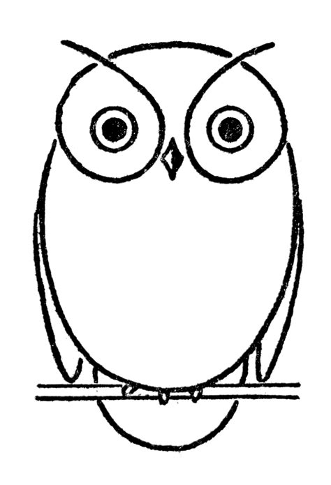 3 Easy Ways To Draw An Owl Graziano Foxys1977