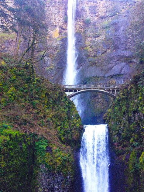 The Best Waterfall Hikes Near Portland Oregon Everyday Runaway