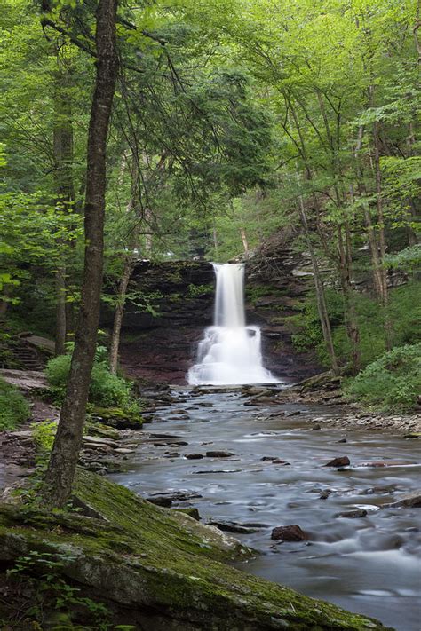 Wilderness Waterfall Stream Summer Photograph By John Stephens