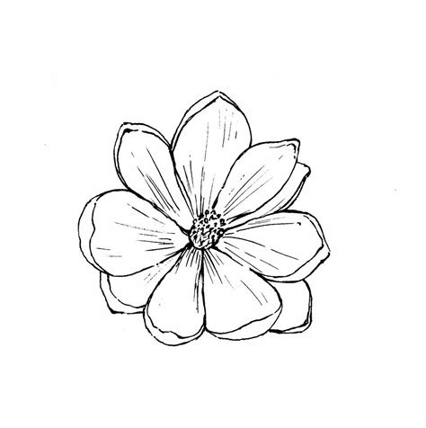 not a bad magnolia option | Flower outline tattoo, Simple flower