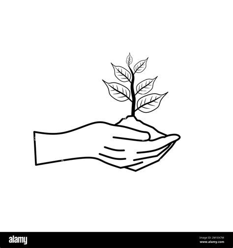 A Vector Illustration Of A Hand Holding Plant In Soil Against A White