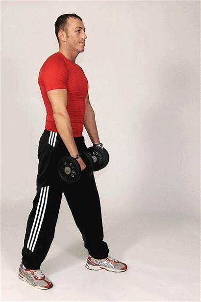 Arm Shoulder Raise Exercises Single Fitness Individual