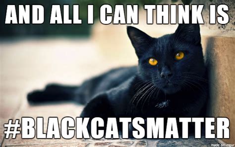 Because they're some of cutest, some of the coolest, and some of the cuddliest black cats matter! Myths & Legends About Black Cats