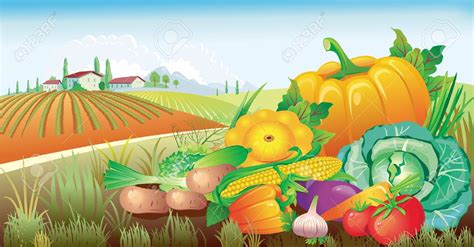 Vegetable Field Clipart 20 Free Cliparts Download Images On