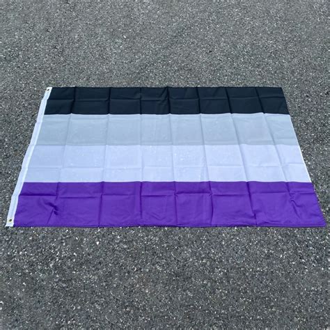 Aerlxemrbrae Rainbow Flag 90150cm Lgbtqia Community Nonsexuality Bisexual Pride Flag Asexuality