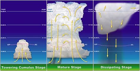 Stages Of Thunderstorm Development Chart Thunderstorm Formation
