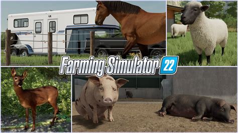 Everything We Know About Animals In Farming Simulator 22 Youtube