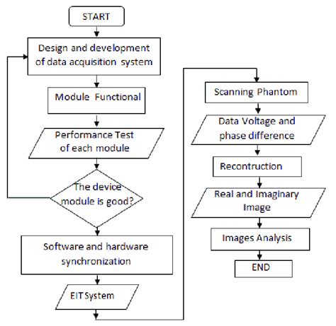 Schematic Diagram Of The Experimental Procedure Download Scientific
