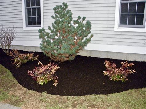 Front Yard Makeover Popel Landscaping And Design Llc