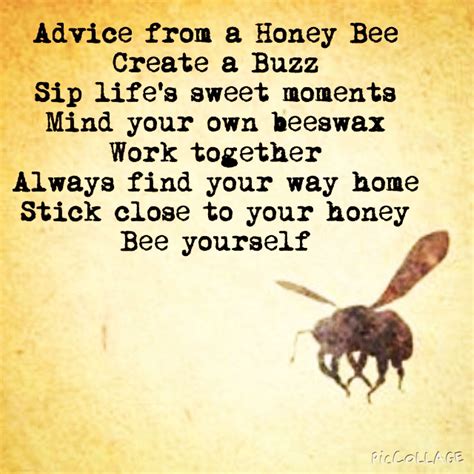 Queen Bee Quotes Shortquotescc