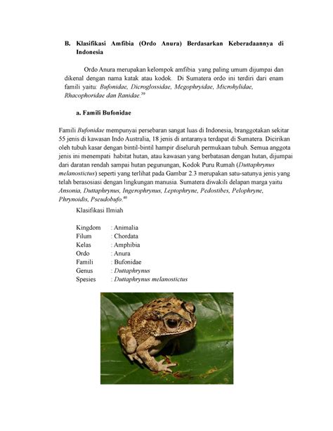 Spesies Dari Ordo Anura B Klasifikasi Amfibia Ordo Anura