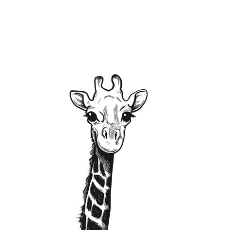Cute Giraffe Drawing Drawing Heads Giraffe Head Clipart Black And