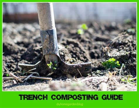 Trench Composting Guide For Your Garden Diyhomegardenblog