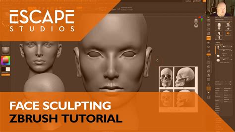 Face Sculpting Zbrush Tutorial Youtube