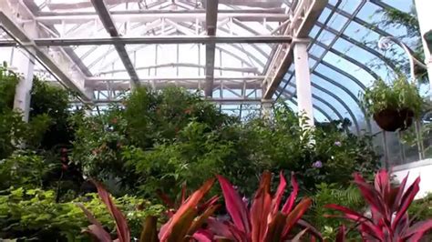 The Key West Butterfly And Nature Conservatory Youtube