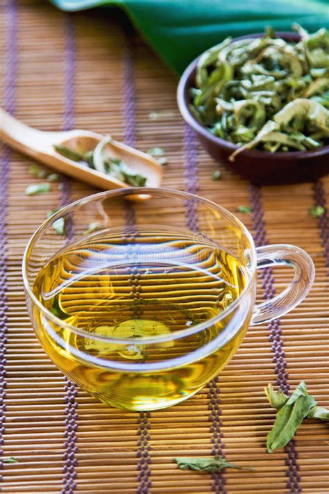 Verveine Tea Or Verbena Tea Stock Image Image Of Refreshing Fragrant