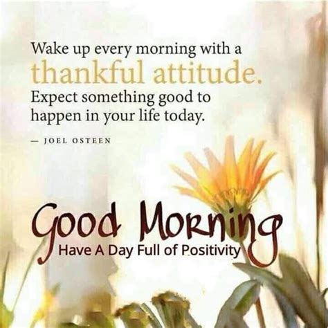 45 Best Good Morning Greetings Images Wishes Messages Tailpic 2022