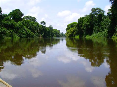 Filenyong River Cameroon Wikimedia Commons