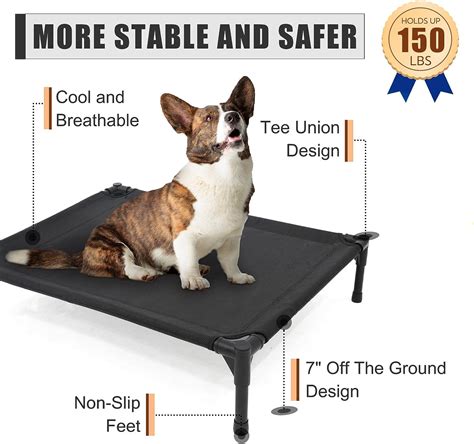 5 Best Elevated Dog Beds A Comprehensive Review And Comparison Share