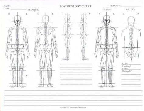The name of the organ is printed right on it, so that it'd be easier for children to identify them. Posturology Chart Blank | Health history form, Body chart ...