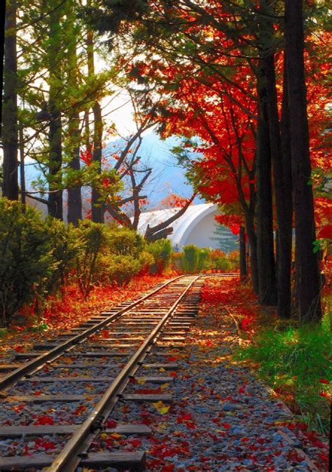 Fall Tracks Source Train Tracks Photography Railroad
