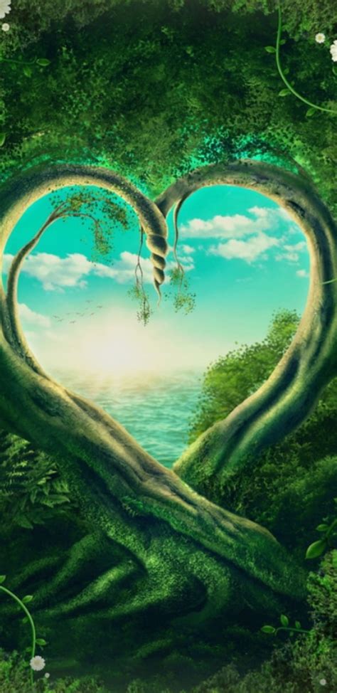 1080p Free Download Forest Heart Tree Forest Heart Green Hd