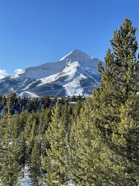 Montana Homes & Land | Montana Real Estate Team