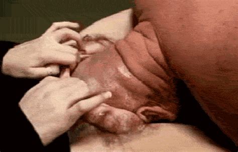 Pussy Head Insertion