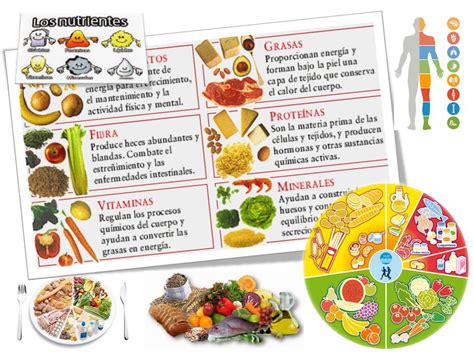 Los Nutrientes De Los Alimentos Alimentacion Sana Y Natural