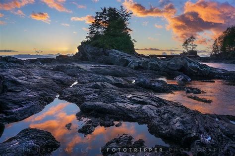 A Great Year In Landscape Photography Workshops Travel Vancouver Island Vancouver Island