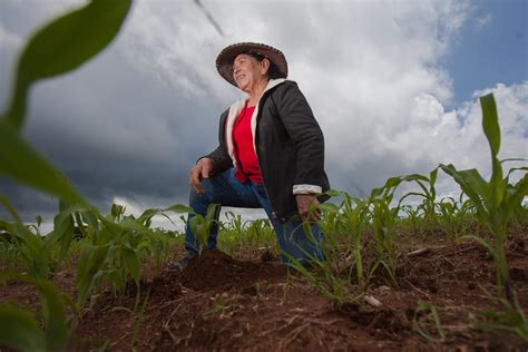 Impulsa Sagarpa Participación De Las Mujeres En El Sector Rural